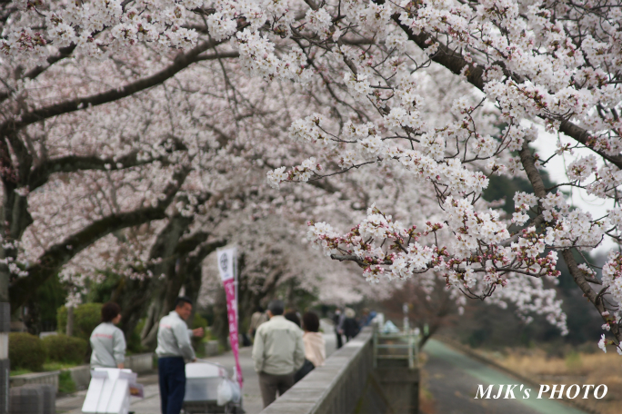 inuyama3019.jpg