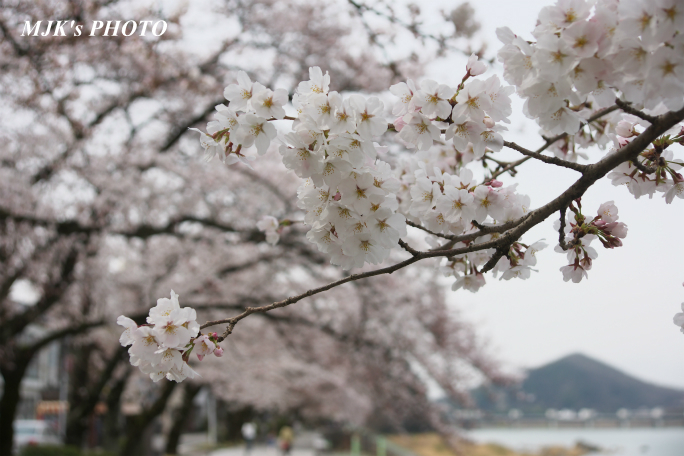 inuyama3020.jpg