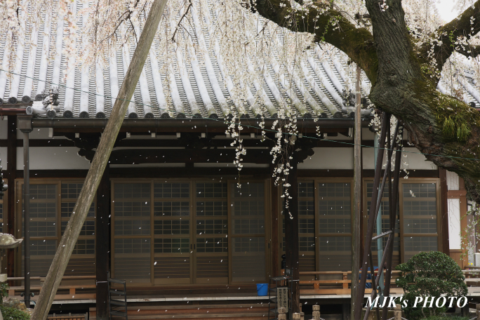 inuyama3023.jpg