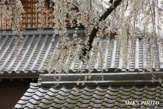 inuyama3025.jpg