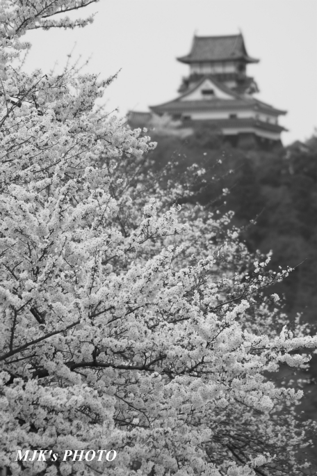 inuyama3031.jpg
