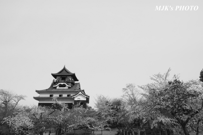 inuyama3032.jpg