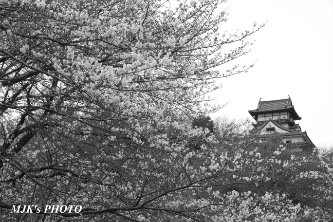inuyama3033.jpg