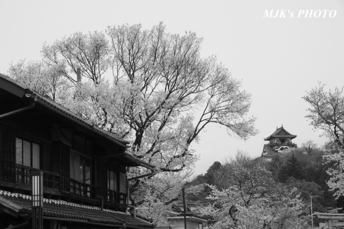 inuyama3035.jpg