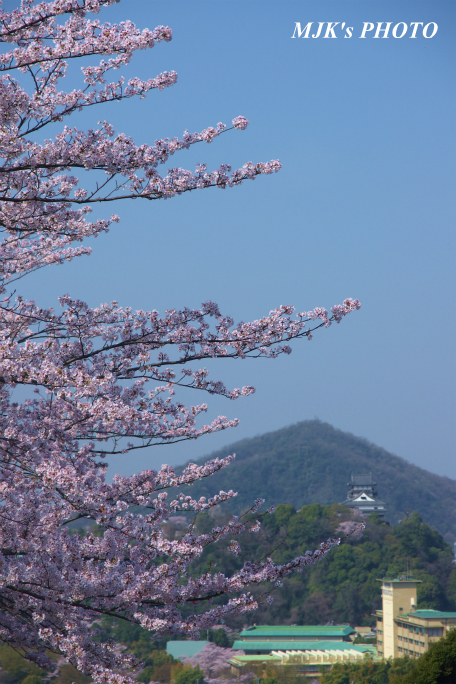 inuyamajo1292.jpg
