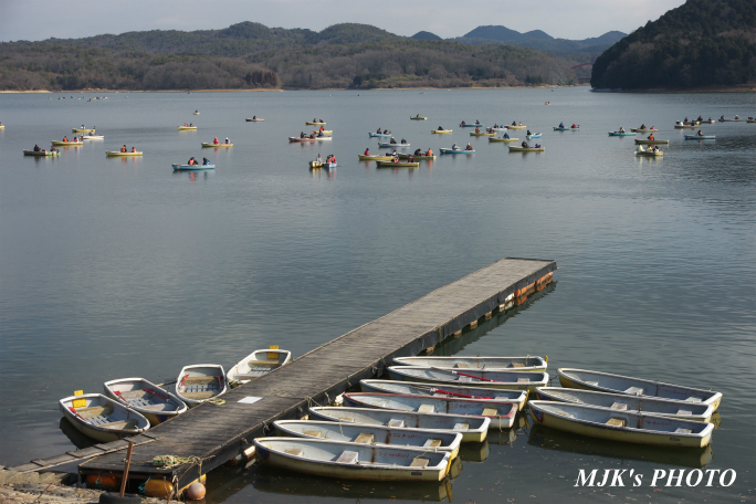 irukaike2009.jpg