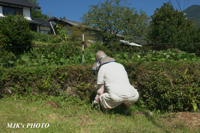 kasagi3481.jpg