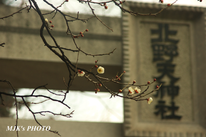 kitanotenjin1151.jpg