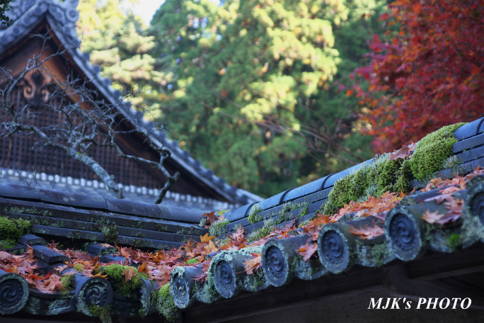 kongourinji2760.jpg