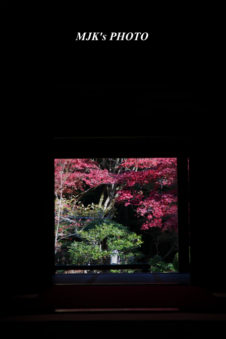 kongourinji2761.jpg