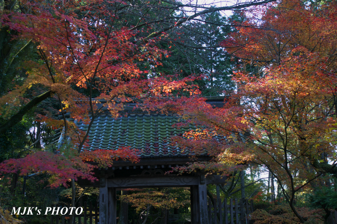 kongourinji2763.jpg
