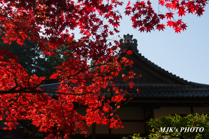 kongourinji2764.jpg