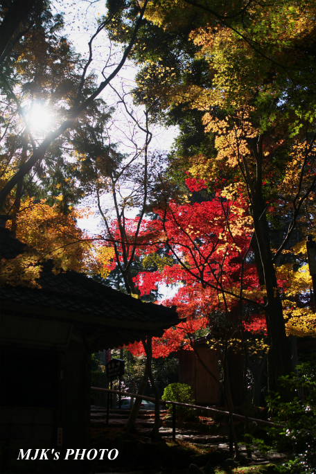 kongourinji2765.jpg