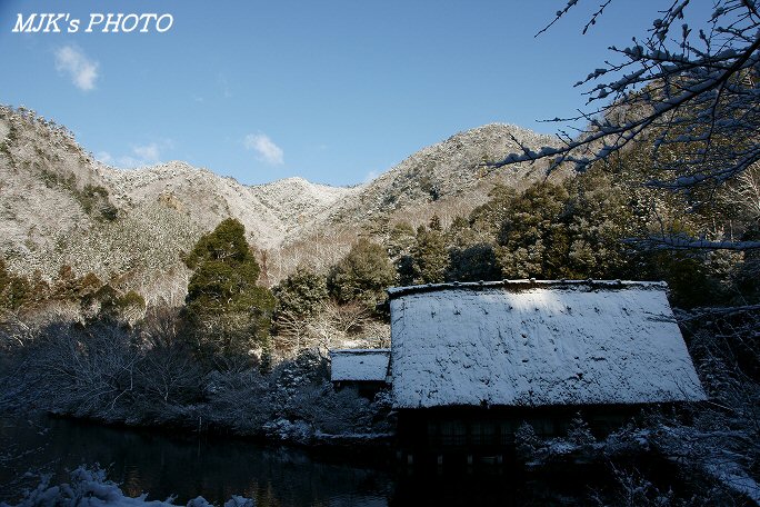 matsuoike00232.jpg