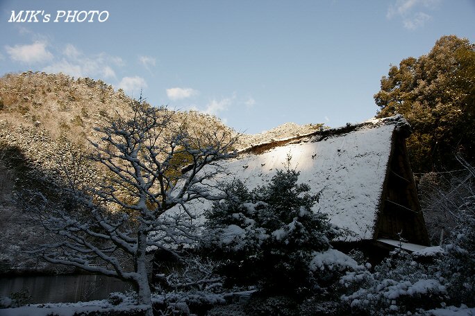 matsuoike00239.jpg