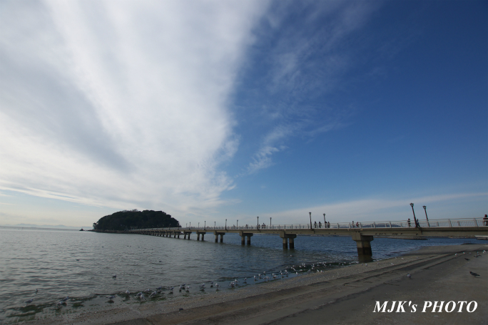 mikawawan2853.jpg