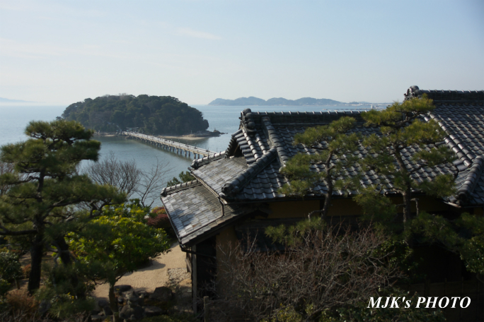 mikawawan2854.jpg