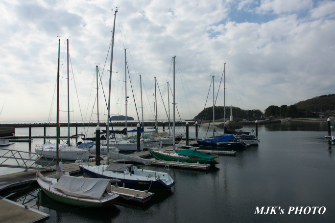 mikawawan2856.jpg