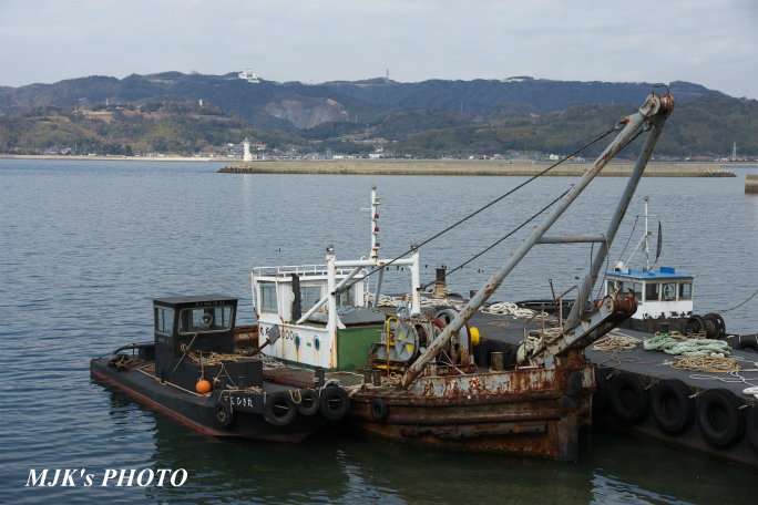 mikawawan2857.jpg