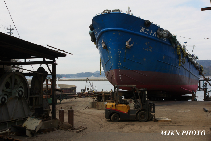 mikawawan2858.jpg