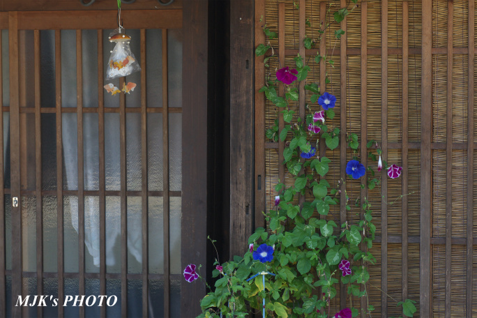 minomachi00744.jpg