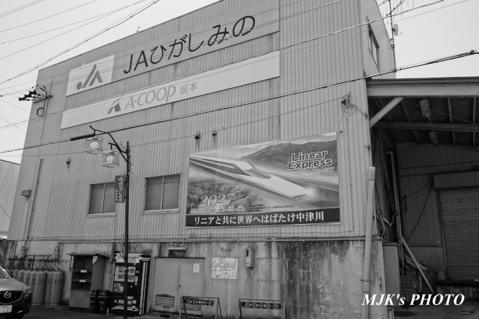 minosakamoto4110.jpg