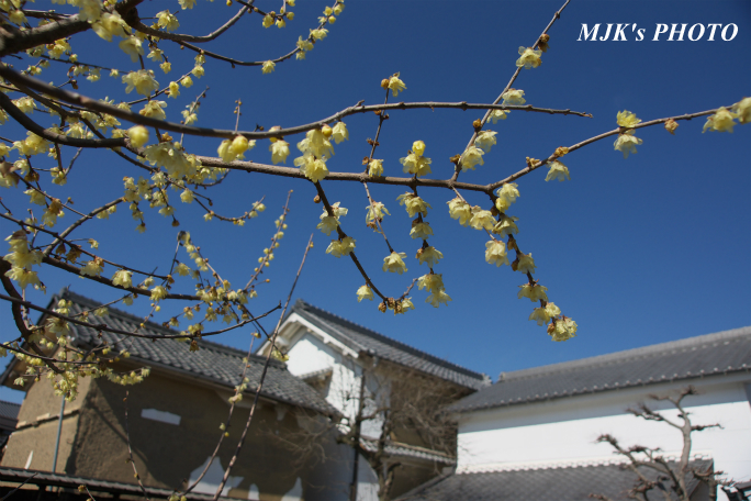 mitakejyuku2917.jpg