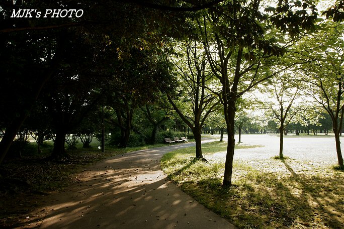 mypark00503.jpg