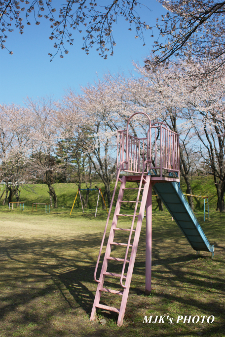 mypark2146.jpg