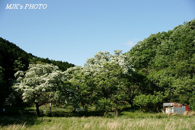 nanja00495.jpg
