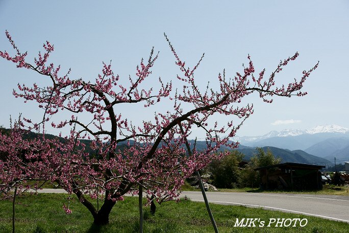 norikura00474.jpg