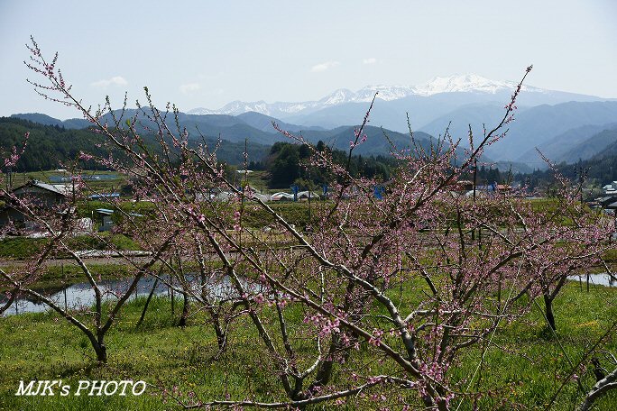 norikura00475.jpg