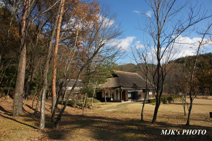 park2801.jpg