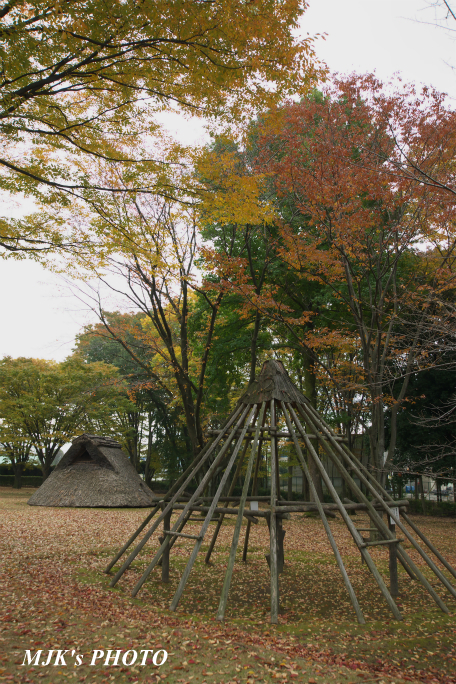 robata2726.jpg