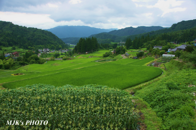 rokunosato1614.jpg