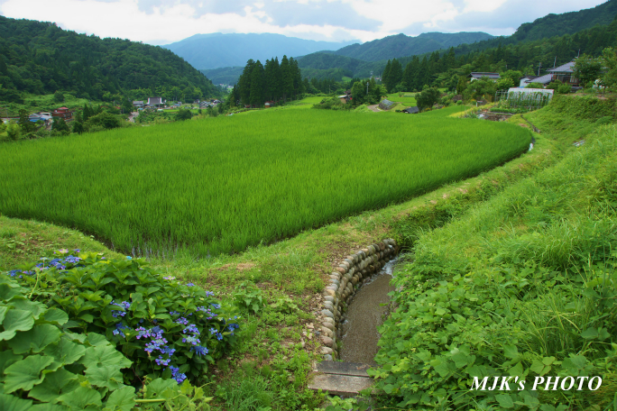 rokunosato1619.jpg