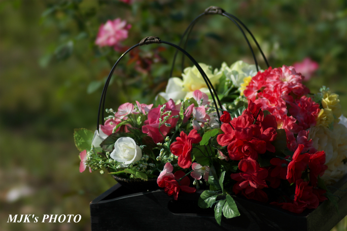 rose2707.jpg