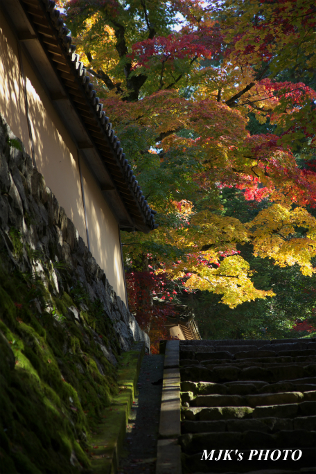 saimyouji2770.jpg