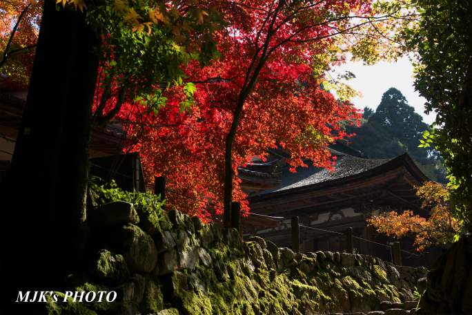 saimyouji2774.jpg