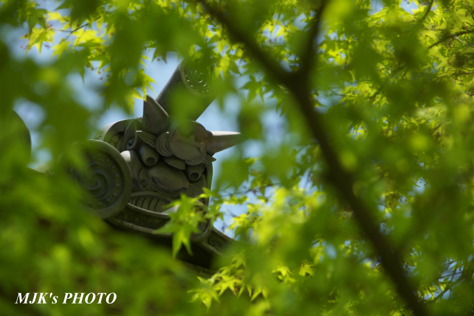 saimyouji3153.jpg