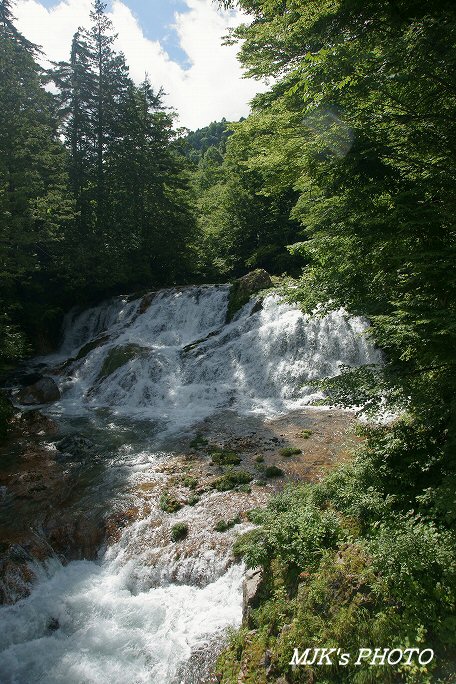 sakanagaeri00656.jpg