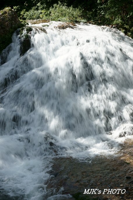 sakanagaeri00657.jpg