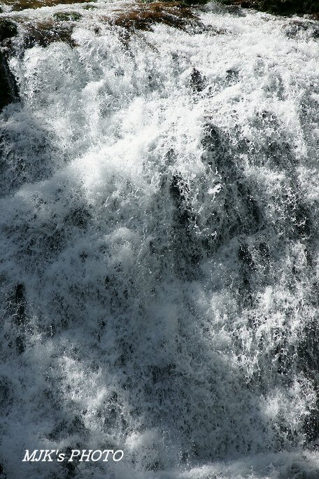 sakanagaeri00658.jpg