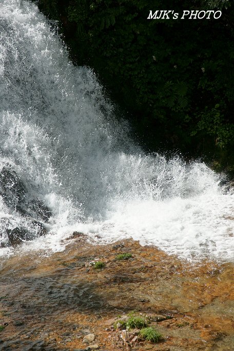 sakanagaeri00659.jpg