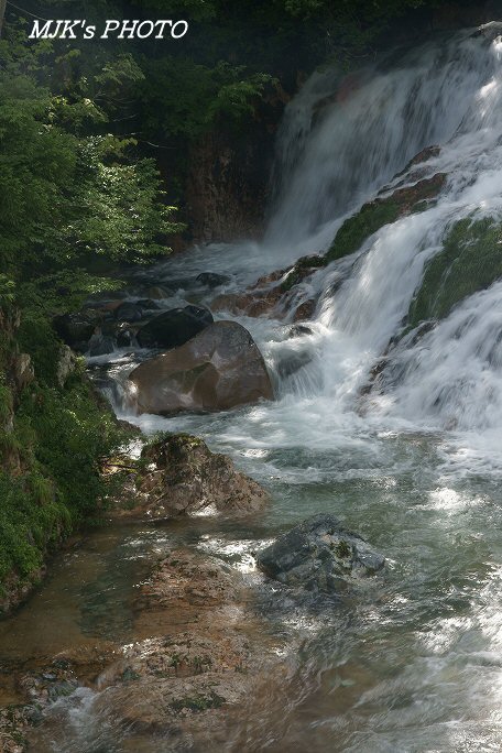 sakanagaeri00660.jpg