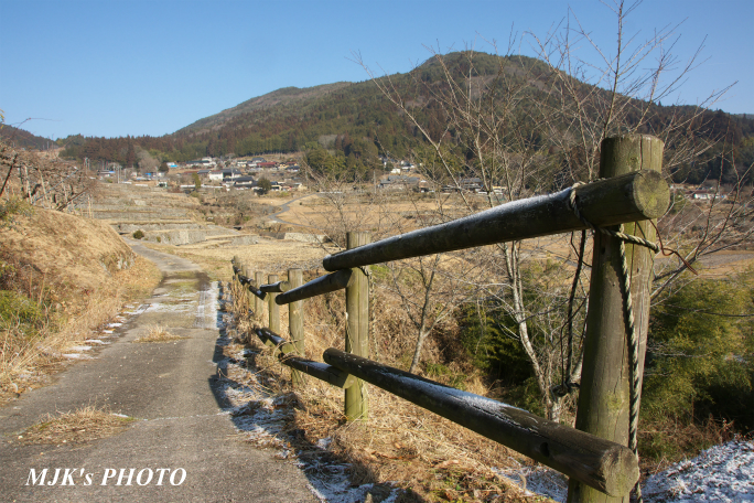 sakaori2869.jpg