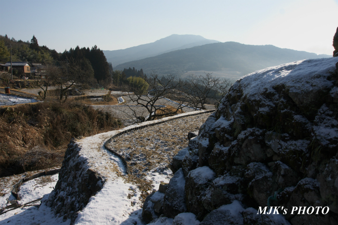 sakaori2877.jpg