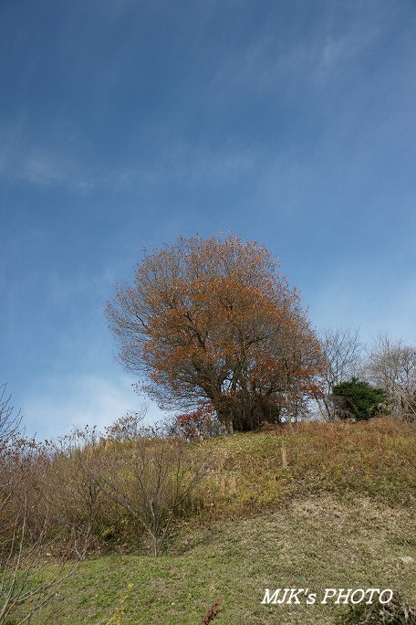 satoyama00063.jpg