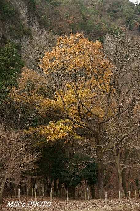 satoyama00065.jpg
