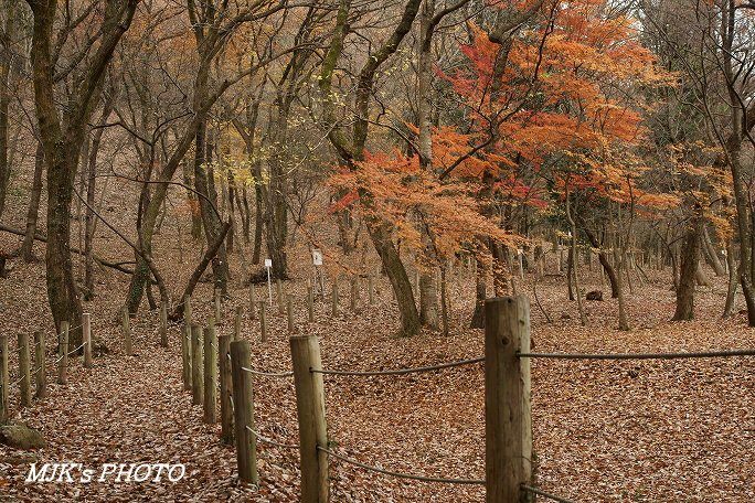 satoyama00069.jpg